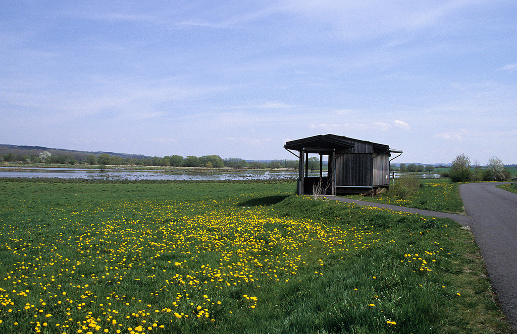 NSG 218, Beobachtungs- und Informationsstand „In der Trift“ am Werra-Radweg am Rand des NSG „Dankmarshäuser Rhäden“ (Wartburgkreis), Blick auf vernässte Rhädensenke. (Foto: Holm Wenzel, 27.04.2008)