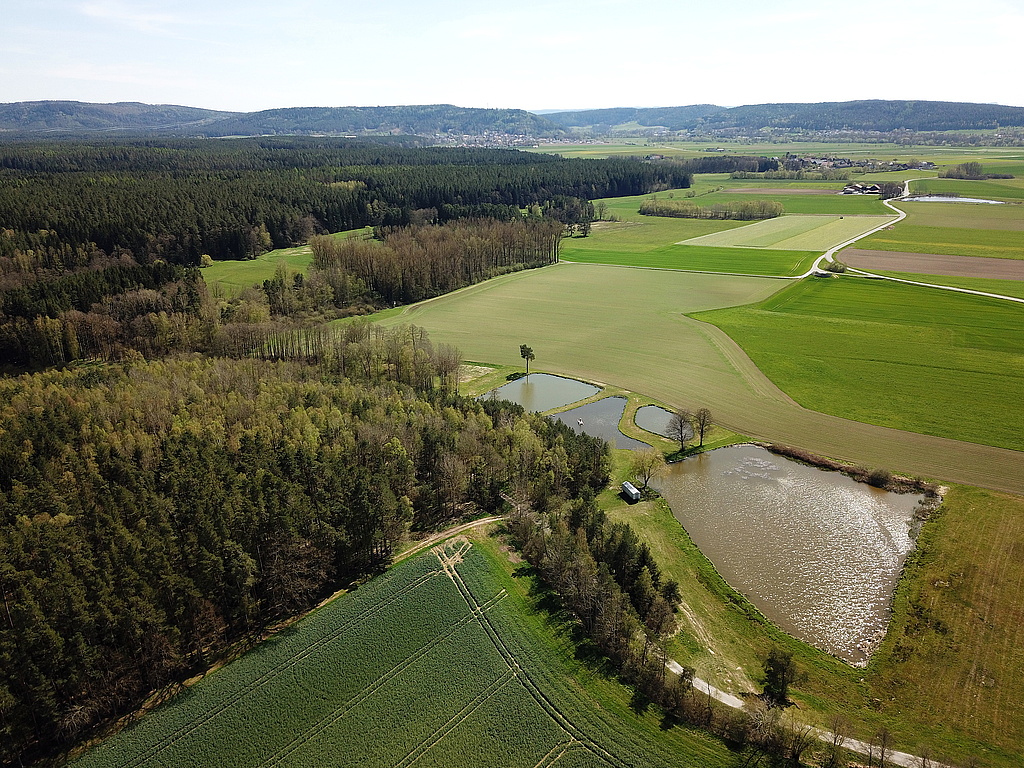 NSG 249, Blick von Nordosten auf einen Teil des ehemaligen Grenzstreifens im südlichsten Teil des NSG „Föritzgrund“, hier in der Gemarkung Sichelreuth (Landkreis Sonneberg). Blick Richtung Mitwitz (Bildmitte hinten, Landkreis Kronach) in Bayern. (Foto: Holm Wenzel, 09.05.2021)