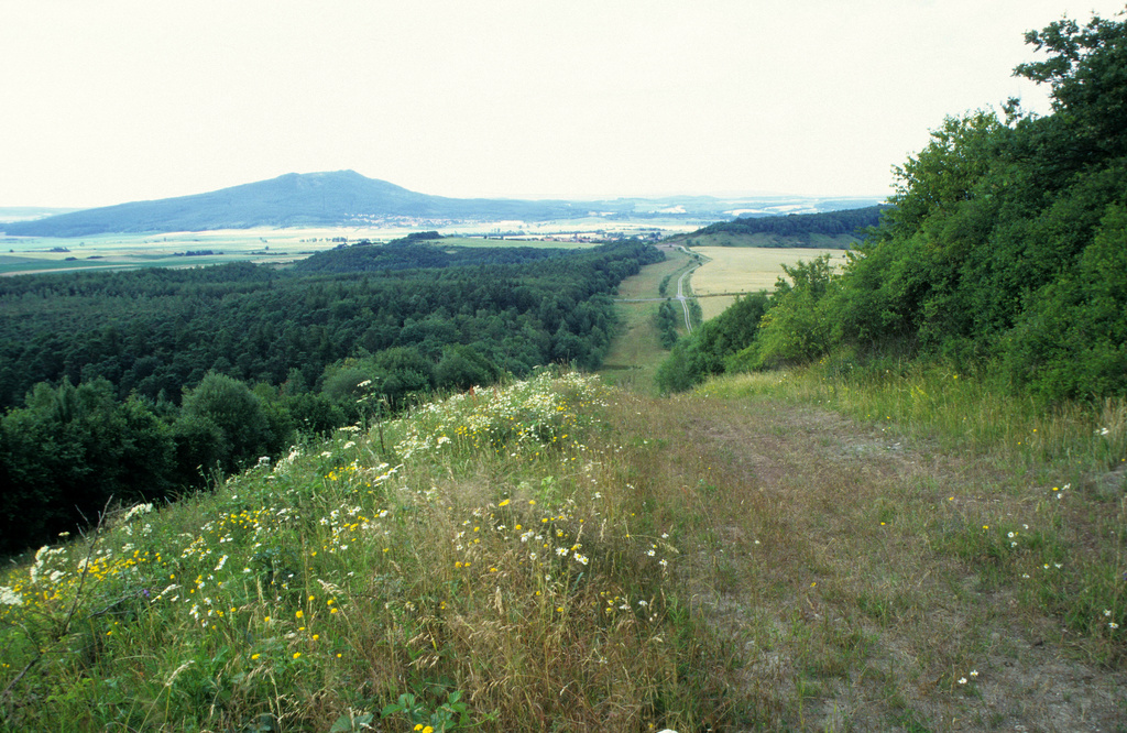 NSG 265, Blick vom Spanshügel nach Norden auf den ehemaligen Grenzstreifen westlich von Schlechtsart (Landkreis Hildburghausen) im Nationalen Naturmonument „Grünes Band Thüringen“. Hinten links: Großer Gleichberg (Teil von NSG Nr. 349), hinten rechts: Körnberg (auch im NSG Nr. 265). (Foto: Holm Wenzel, 20.07.1996)