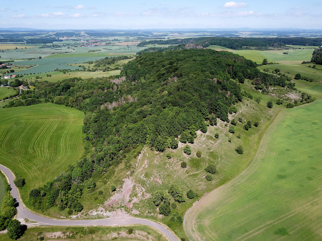 NSG 265, Blick von Südwesten auf den Körnberg südöstlich von Linden und nordwestlich vom Schlechtsart im NSG „Schlechtsarter Schweiz“ (Landkreis Hildburghausen). Ganz vorn links unten: Teil des ehemaligen Grenzstreifens. (Foto: Holm Wenzel, 13.06.2021)