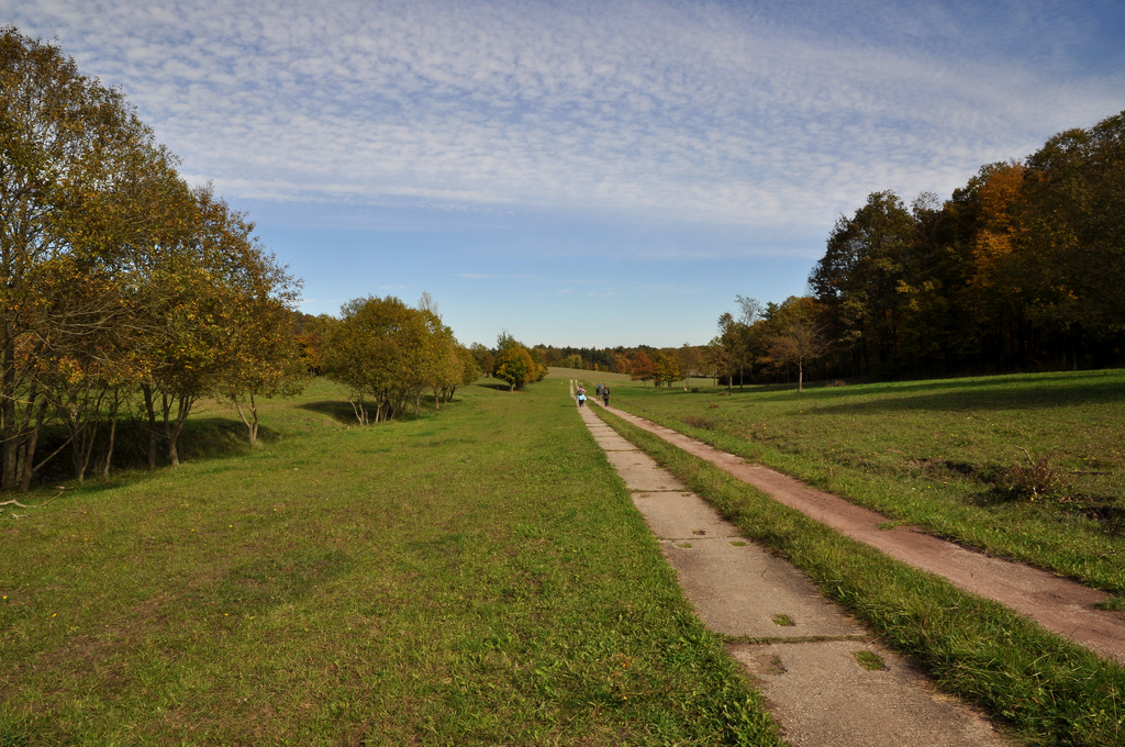 NSG 265, ehemaliger Grenzstreifen im NSG „Schlechtsarter Schweiz“ (Landkreis Hildburghausen) zwischen Spanshügel und Altenburg, auch Teil des Nationalen Naturmonumentes „Grünes Band Thüringen“. (Foto: Holm Wenzel, 09.10.2010)