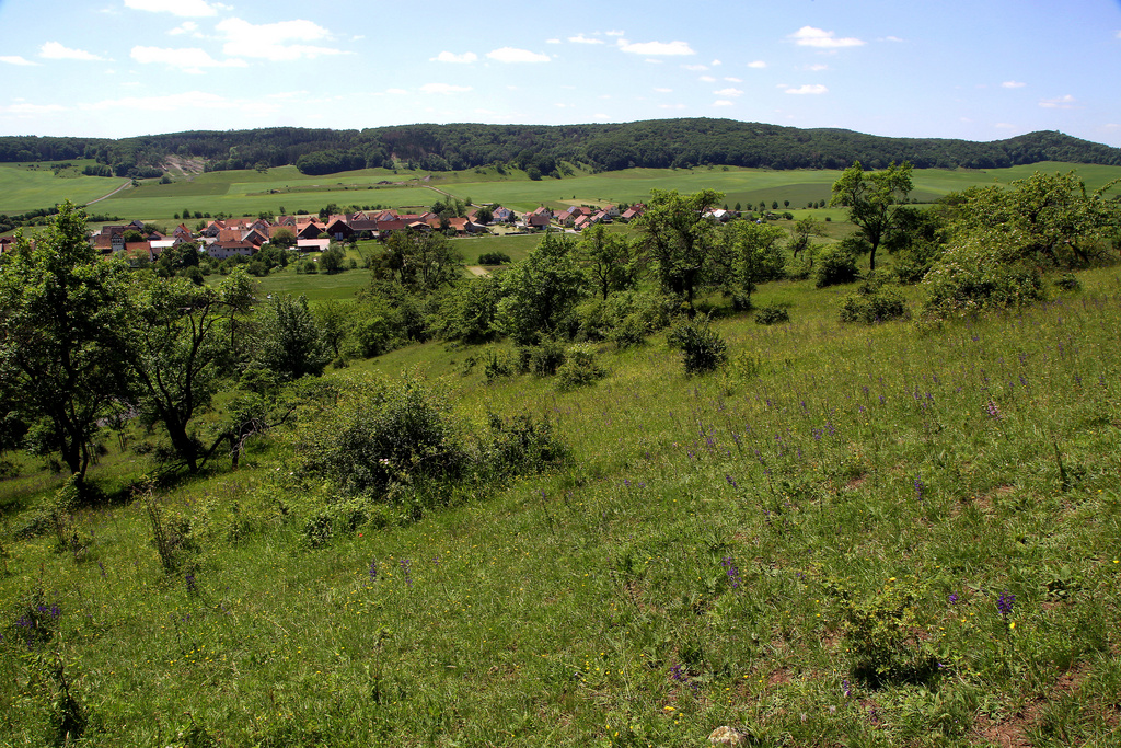 NSG 265, Blick vom Südhang des Stierhügels nach Südsüdwest über Schlechtsart (Landkreis Hildburghausen) zum Spanshügel (hinten rechts) und Bernhardshügel (auch im NSG „Schlechtsarter Schweiz“). (Foto: Holm Wenzel, 13.06.2021)