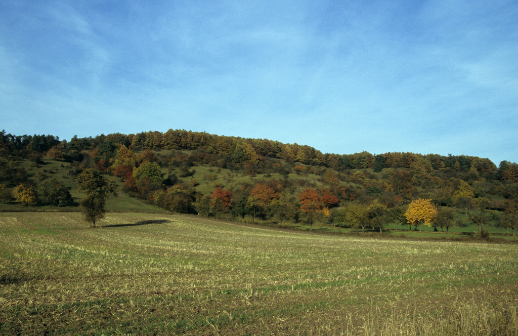 NSG 265, Blick auf Südhang des Stierhügels nördlich von Schlechtsart und westlich des Brummharzes im NSG „Schlechtsarter Schweiz“. (Foto: Holm Wenzel, 24.10.2004)