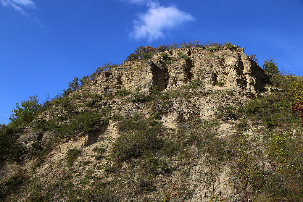 NSG 273, Blick von Südwesten auf die Zietschkuppe im zentralen Teil des NSG „Gleistalhänge“ (Saale-Holzland-Kreis) mit Kalkfelsen, -Pionierrasen und -Schutthalden sowie Kalk-Halbtrockenrasen am Fuß. (Foto: Holm Wenzel, 25.04.2020)