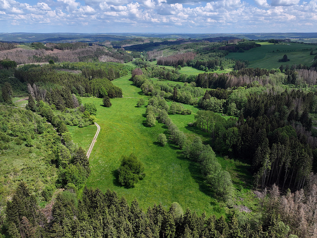 NSG 283, Blick von Westen auf den Gemäßgrund mit dem Sieglitzbach im Nordosten des NSG „Jägersruh – Gemäßgrund – Mulschwitzen“, hier südwestlich Lichtenbrunn (Saale-Orla-Kreis). (Foto: Holm Wenzel, 20.05.2024)