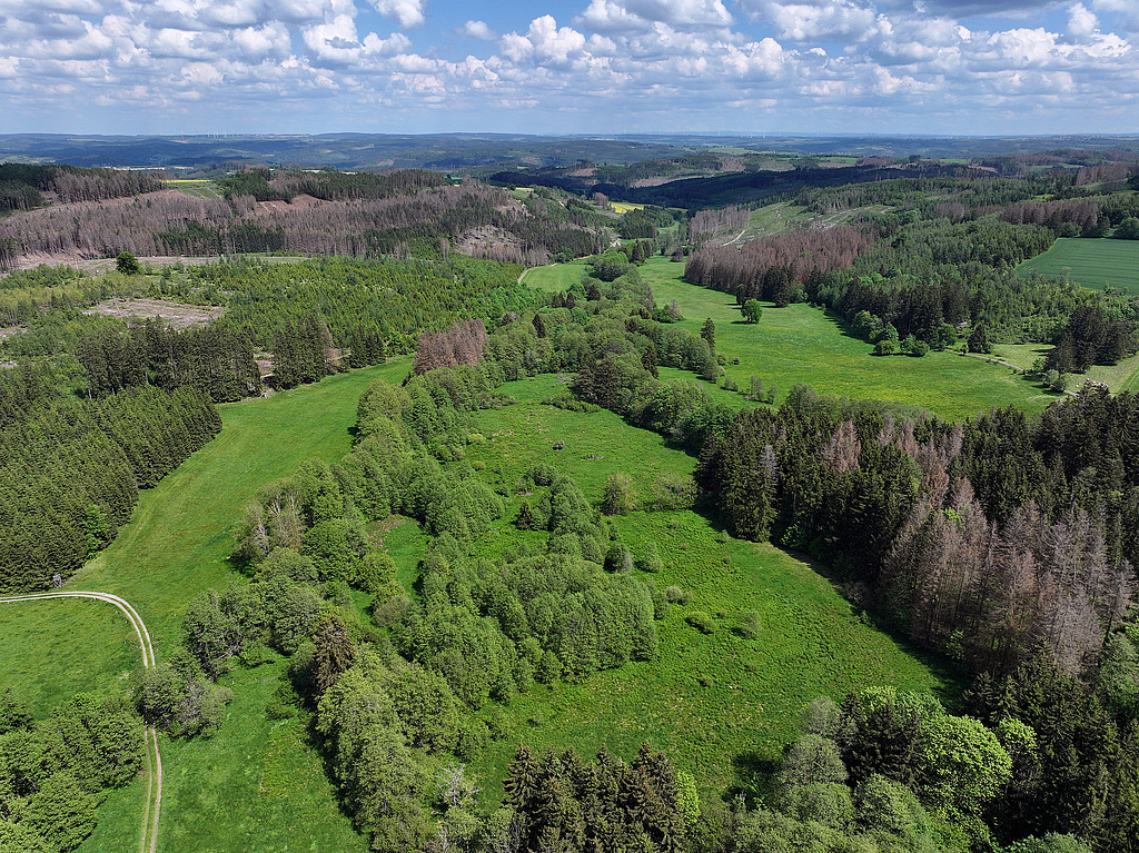 NSG 283, Blick von Westsüdwest auf den mittleren und unteren Teil des Gemäßgrundes mit dem Sieglitzbach im Nordosten des NSG „Jägersruh – Gemäßgrund – Mulschwitzen“, hier südwestlich Lichtenbrunn (Saale-Orla-Kreis). (Foto: Holm Wenzel, 20.05.2024)