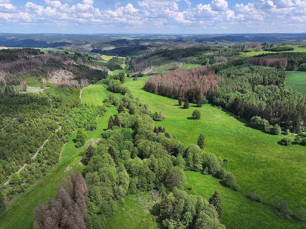 NSG 283, Blick von Westen auf den unteren Teil des Gemäßgrundes mit dem Sieglitzbach im Nordosten des NSG „Jägersruh – Gemäßgrund – Mulschwitzen“, hier südwestlich Lichtenbrunn (Saale-Orla-Kreis). (Foto: Holm Wenzel, 20.05.2024)