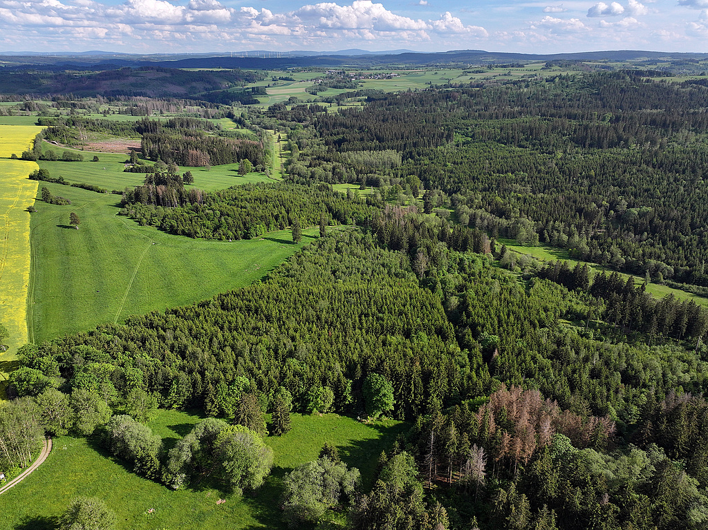 NSG 283, Blick von südlich des Kulmberges nach Südosten auf den ehemaligen Grenzstreifen (Grünes Band) mit der Thüringischen Muschwitz an der Landesgrenze zu Bayern Richtung Mulschwitzen im Südosten des NSG „Jägersruh – Gemäßgrund – Mulschwitzen“ hier südwestlich und südlich Schlegel (Saale-Orla-Kreis). (Foto: Holm Wenzel, 20.05.2024)