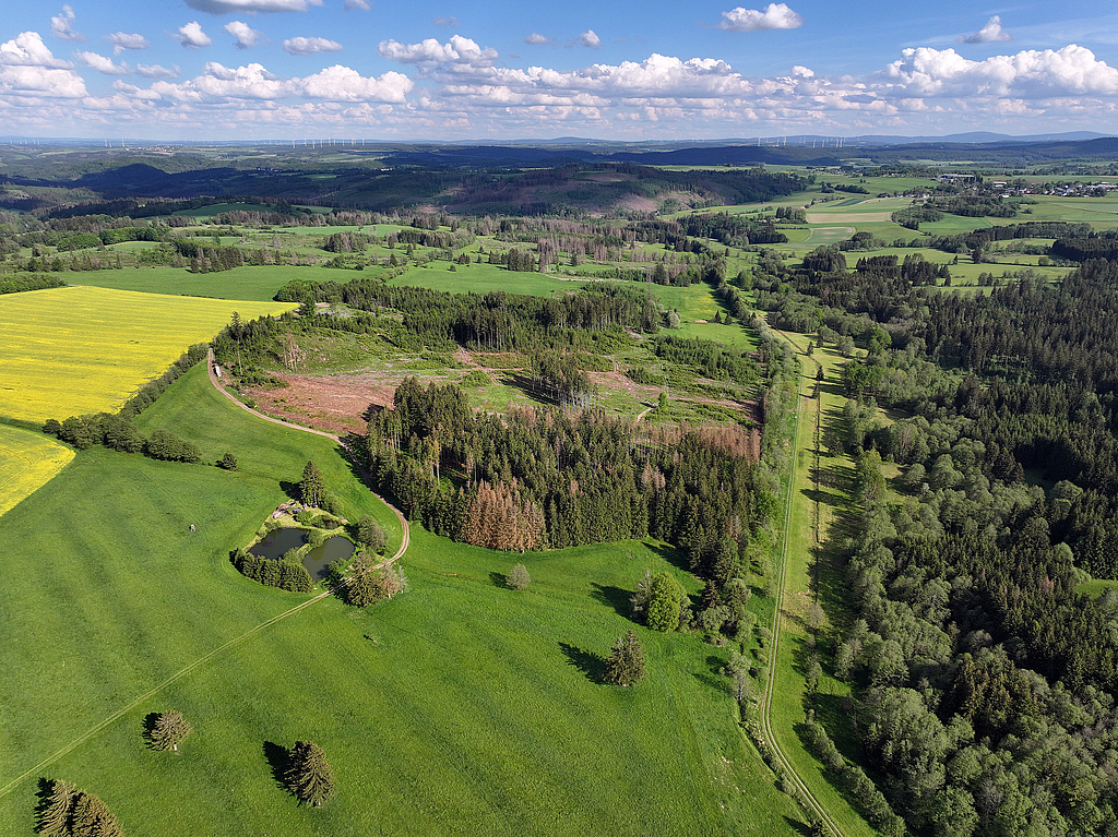 NSG 283, Blick von südöstlich des Kulmberges nach Südosten auf den ehemaligen Grenzstreifen (Grünes Band) mit der Thüringischen Muschwitz an der Landesgrenze zu Bayern Richtung Herrenbühl (Bildmitte) und dahinter Mulschwitzen im Südosten des NSG „Jägersruh – Gemäßgrund – Mulschwitzen“ hier südwestlich und südlich Schlegel (Saale-Orla-Kreis). (Foto: Holm Wenzel, 20.05.2024)