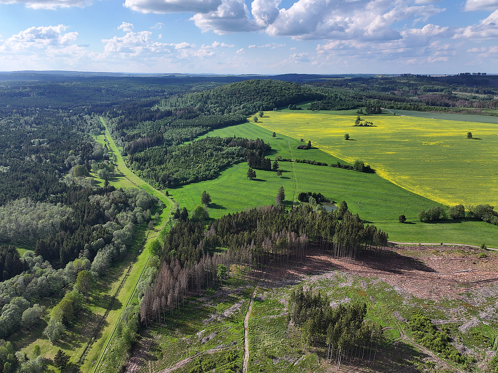 NSG 283, Blick von Südosten auf den ehemaligen Grenzstreifen (Grünes Band) mit der Thüringischen Muschwitz an der Landesgrenze zu Bayern (links) Richtung Kulmberg (Nr. 167, hinten Mitte) im Südosten des NSG „Jägersruh – Gemäßgrund – Mulschwitzen“ hier westlich und südwestlich Schlegel (Saale-Orla-Kreis). Vorn: der Herrenbühl. (Foto: Holm Wenzel, 20.05.2024)