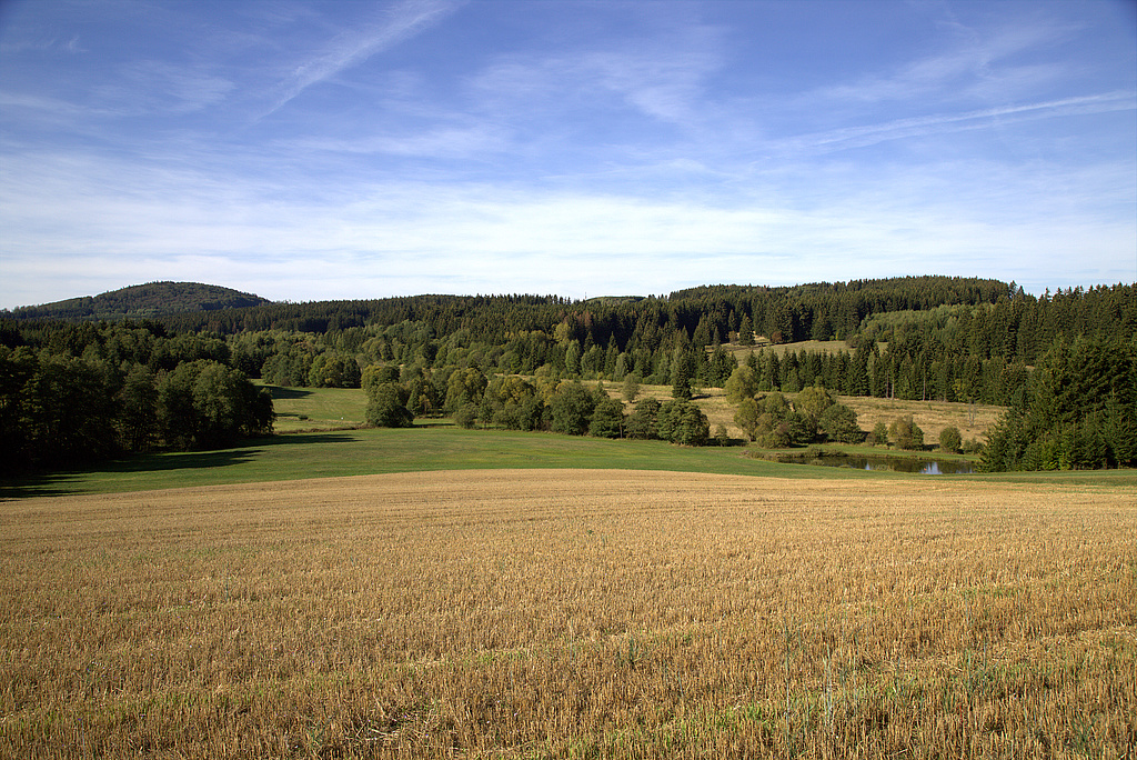 NSG 283, Blick von nördlich Carlsgrün (Bayern) nach Nordnordwest auf den ehemaligen Grenzstreifen (Grünes Band) mit der Thüringischen Muschwitz an der Landesgrenze zu Bayern und die Mulschwitzen im Südosten des NSG „Jägersruh – Gemäßgrund – Mulschwitzen“ hier südlich und südwestlich Schlegel (Saale-Orla-Kreis). Hinten links: Diabaskuppe des Kulmberges mit dem NSG „Kulm“ (Nr. 167) (Foto: Holm Wenzel, 16.09.2018)