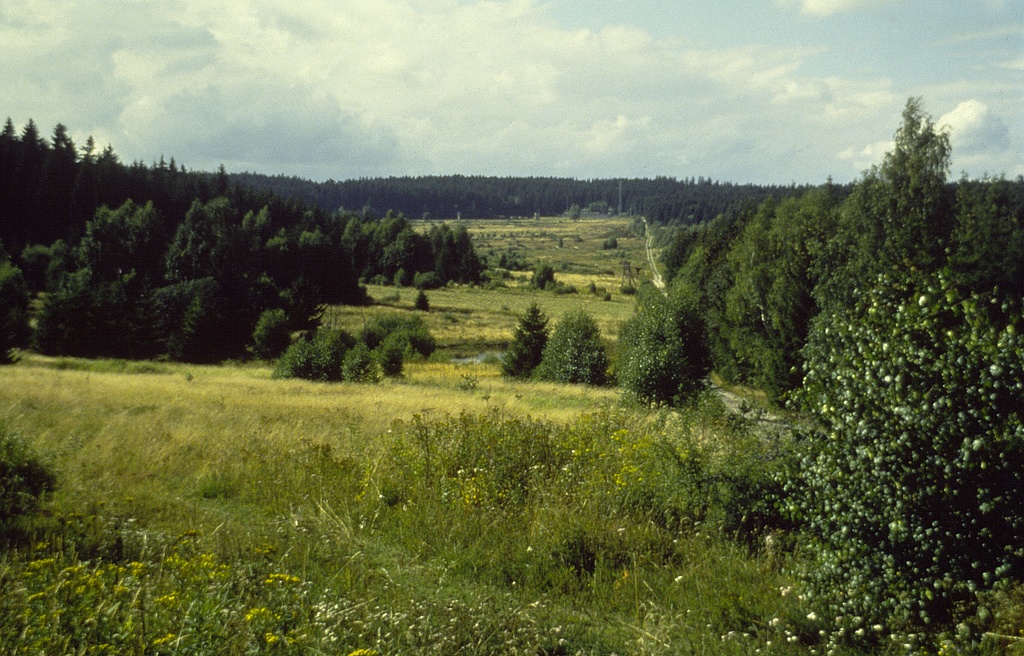 NSG 292, Blick nach Nordwesten auf ehemaligen Schießplatz der früheren militärischen Nutzung im Zentrum des NSG „Mittelgrund“ nordöstlich Ruppersdorf (Saale-Orla-Kreis) mit Mosaik von Grasfluren unterschiedlichen Feuchtegrades. (Foto: Ökologische Bildungsstätte Oberfranken/Naturschutzzentrum Wasserschloss Mitwitz 1993, Archiv TLUBN)
