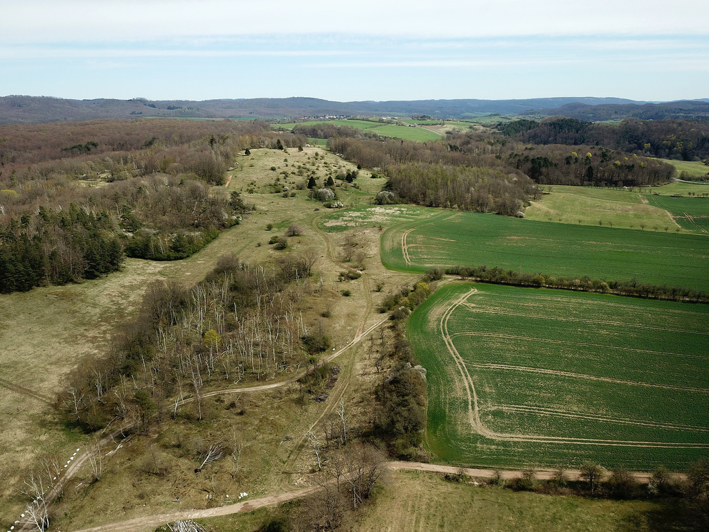 NSG 312, Blick nach Osten auf den östlichen Teil des NSG „Rüdigsdorfer Schweiz“ nördlich von Petersdorf (Landkreis Nordhausen). (Foto: Holm Wenzel, 17.04.2022)
