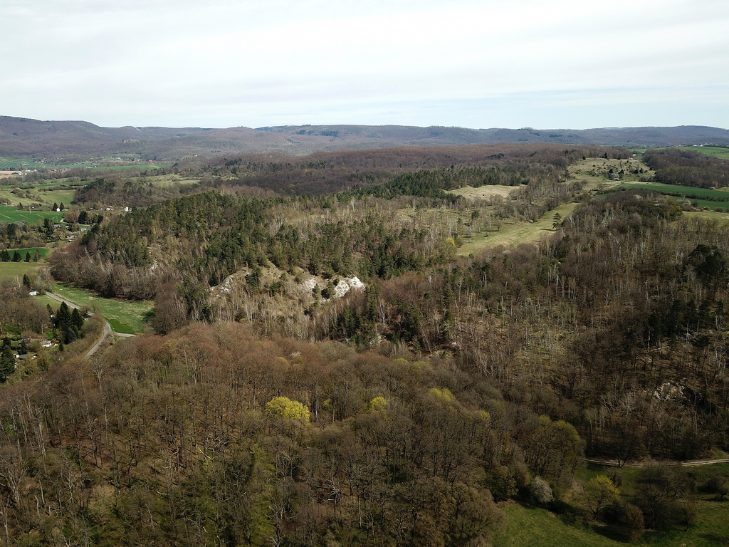 NSG 312, Blick nach Osten auf den nordöstlichen Teil des NSG „Rüdigsdorfer Schweiz“ südlich und östlich von Rüdigsdorf (Landkreis Nordhausen); angrenzend hinten das NSG „Harzfelder Holz“ (Nr. 408), rechts das NSG „Winkelberg“ (Nr. 480). (Foto: Holm Wenzel, 17.04.2022)
