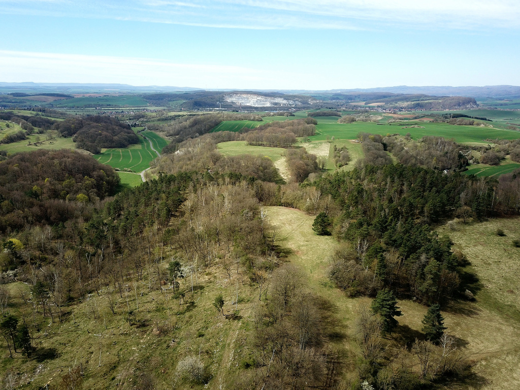 NSG 312, Blick nach Westen Richtung Krimderode und Niedersachswerfen über den mittleren auf den westlichen Teil des NSG „Rüdigsdorfer Schweiz“ (Landkreis Nordhausen); vorn links angrenzend: NSG „Winkelberg“ (Nr. 480). (Foto: Holm Wenzel, 17.04.2022)