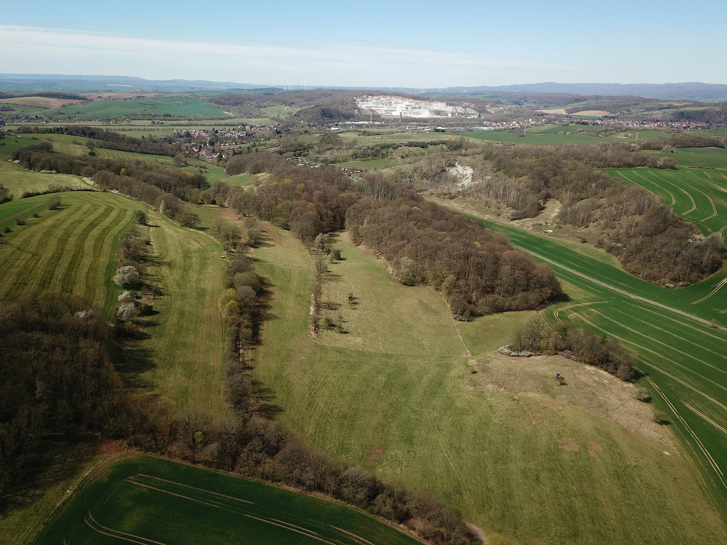 NSG 312, Blick nach Westnordwest Richtung Krimderode/Obersalza und Niedersachswerfen auf den westlichen Teil des NSG „Rüdigsdorfer Schweiz“ mit dem Kalkberg (Mitte rechts) (Landkreis Nordhausen). (Foto: Holm Wenzel, 17.04.2022)