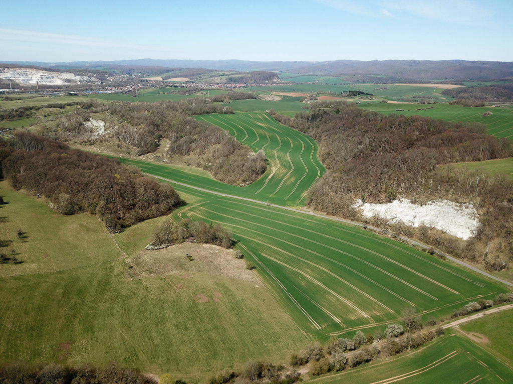 NSG 312, Blick nach Nordwesten Richtung Niedersachswerfen auf den nordwestlichen Teil des NSG „Rüdigsdorfer Schweiz“ mit dem Kalkberg bei Krimderode (Mitte links) und dem Flächennaturdenkmal „Gipsbruch Krimderode“ (rechts) (Landkreis Nordhausen). (Foto: Holm Wenzel, 17.04.2022)