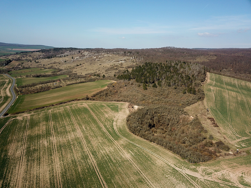 NSG 320, Blick von Südosten auf die Gipskarstlandschaft nordöstlich und nördlich Rottleben bis nordwestlich Bad Frankenhausen am Südhang des Kyffhäusers im NSG „Süd-West-Kyffhäuser“ (Kyffhäuserkreis) mit dem Breiten Berg. (Foto: Holm Wenzel, 26.03.2022)