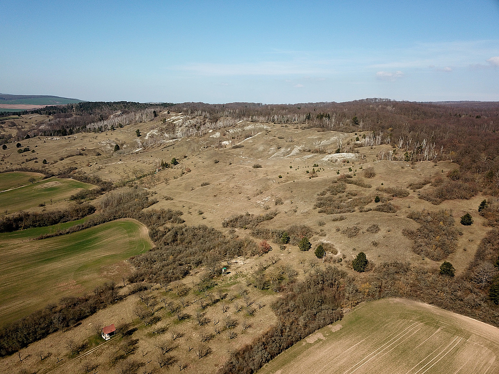 NSG 320, Blick von Südosten auf die Gipskarstlandschaft nordöstlich und nördlich Rottleben bis nordwestlich Bad Frankenhausen (hinten rechts) am Südhang des Kyffhäusers im NSG „Süd-West-Kyffhäuser“ (Kyffhäuserkreis) mit dem Breiten Berg. (Foto: Holm Wenzel, 26.03.2022)