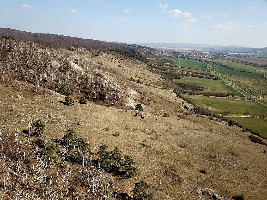 NSG 320, Blick von Westnordwest auf die Gipskarstlandschaft nordöstlich und nördlich Rottleben am Südhang des Kyffhäusers im NSG „Süd-West-Kyffhäuser“ (Kyffhäuserkreis). Blick über das Große Schlauchtal zum Breiten Berg und weiter bis zum Kosackenberg bei Bad Frankenhausen. Bildmitte hinten: Panorama-Museum der Bauernkriegs-Gedenkstätte. (Foto: Holm Wenzel, 26.03.2022)