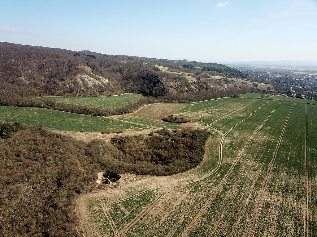 NSG 320, Blick von Westnordwest auf die Gipskarstlandschaft westnordwestlich und nordwestlich Bad Frankenhausen am Südhang des Kyffhäusers im NSG „Süd-West-Kyffhäuser“ (Kyffhäuserkreis). Blick über das Naturdenkmal „Äbtissingrube“ (einer der größten Erdfälle des Kyffhäusers) und links davor (knapp außerhalb des NSG) über einen frischen Erdfall (entstanden in der Nacht vom 16. zum 17.11.2009) zur Kattenburg (halblinks) und zum Kosackenberg (halbrechts). Rechts oben: Bad Frankenhausen, in der Bildmitte ganz hinten: Panorama-Museum der Bauernkriegs-Gedenkstätte. (Foto: Holm Wenzel, 26.03.2022)