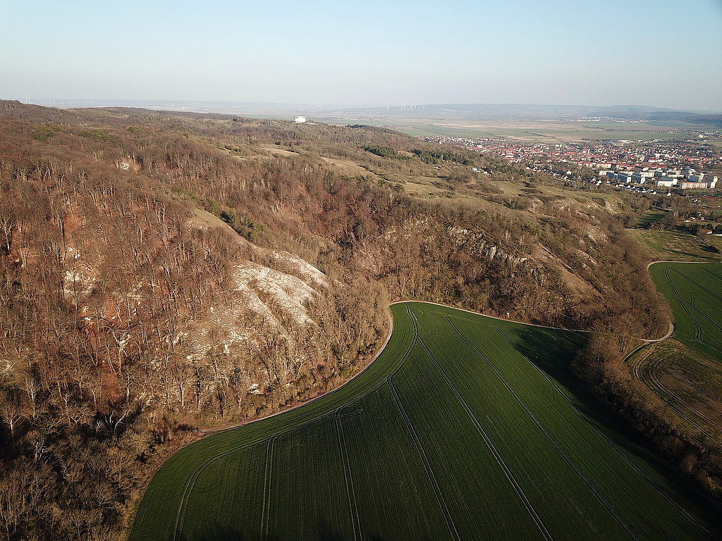 NSG 320, Blick von Nordwesten auf die Gipskarstlandschaft nordwestlich Bad Frankenhausen am Südhang des Kyffhäusers im NSG „Süd-West-Kyffhäuser“ (Kyffhäuserkreis) mit der Kattenburg (links) und dem Koasckenberg (Bildmitte bis rechts). In der Bildmitte hinten: Panorama-Museum der Bauernkriegs-Gedenkstätte, rechts oben: Bad Frankenhausen. (Foto: Holm Wenzel, 05.04.2020)