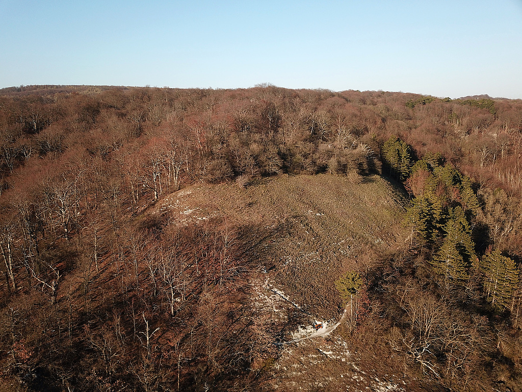 NSG 320, Blick von Süden auf die Kattenburg nordwestlich Bad Frankenhausen mit südexponiertem, schütter bewachsenem, artenreichem Steppenrasen, Teil der Gipskarstlandschaft auf der Südseite des Kyffhäusers im NSG „Süd-West-Kyffhäuser“ (Kyffhäuserkreis), mit dem Kyffhäuserweg und umgeben von aus der forstlichen Nutzung genommenen Waldflächen. (Foto: Holm Wenzel, 05.04.2020)