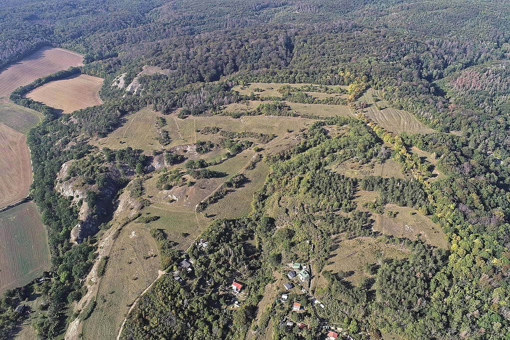 NSG 320, Blick von Südsüdost auf die Gipskarstlandschaft nordwestlich Bad Frankenhausen am Südhang des Kyffhäusers im NSG „Süd-West-Kyffhäuser“ (Kyffhäuserkreis) mit Kosackenberg (Bildmitte bis links) und Galgenberg (vorn rechts, z. T. im NSG). Links: Naturdenkmal „Vogelschutzgehölz Salzstraße“ (z. T. im NSG), halblinks hinten: Kattenburg, rechts im Bild: Kastanienallee = Kyffhäuserweg. (Foto: V. Lautenbach/ThINK GmbH/Archiv TLUBN, 21.09.2020)