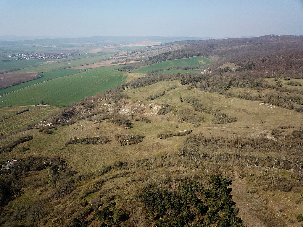NSG 320, Blick von Ostsüdost auf die Gipskarstlandschaft nordwestlich Bad Frankenhausen bis nordöstlich und nördlich Rottleben (hinten links) am Südhang des Kyffhäusers im NSG „Süd-West-Kyffhäuser“ (Kyffhäuserkreis) mit Westseite des Galgenberges (ganz vorn, nicht im NSG), Kosackenberg, Äbtissingrube, Königsberg und Breitem Berg. (Foto: Holm Wenzel, 05.04.2020)
