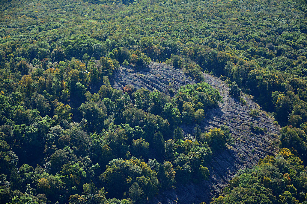 NSG 349, Blick von Westnordwest auf den Gipfel des Kleinen Gleichberges mit der Steinsburg mit Basaltblockmeer im NSG "Gleichberge". (Foto: Detlef Stremke/Archiv TLUBN, 22.09.2019)