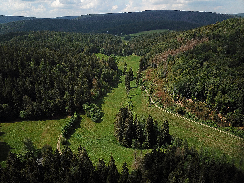 NSG 351, Blick von Südosten in den oberen Röthengrund bei Mengersgereuth-Hämmern im NSG „Röthengrund“ (Landkreis Sonneberg) mit artenreichen, gut gepflegten Berg- und Feuchtwiesen. Der Wald in der Bildmitte links (Nordseite Großer Mühlberg) und in der Bildmitte rechts (am Kleinen Mittelberg) ist aus der forstlichen Nutzung genommen. Vorn links: die Jungdo-Hütte, ganz hinten rechts: der Fellberg bei Steinach. (Foto: Holm Wenzel, 13.06.2020)