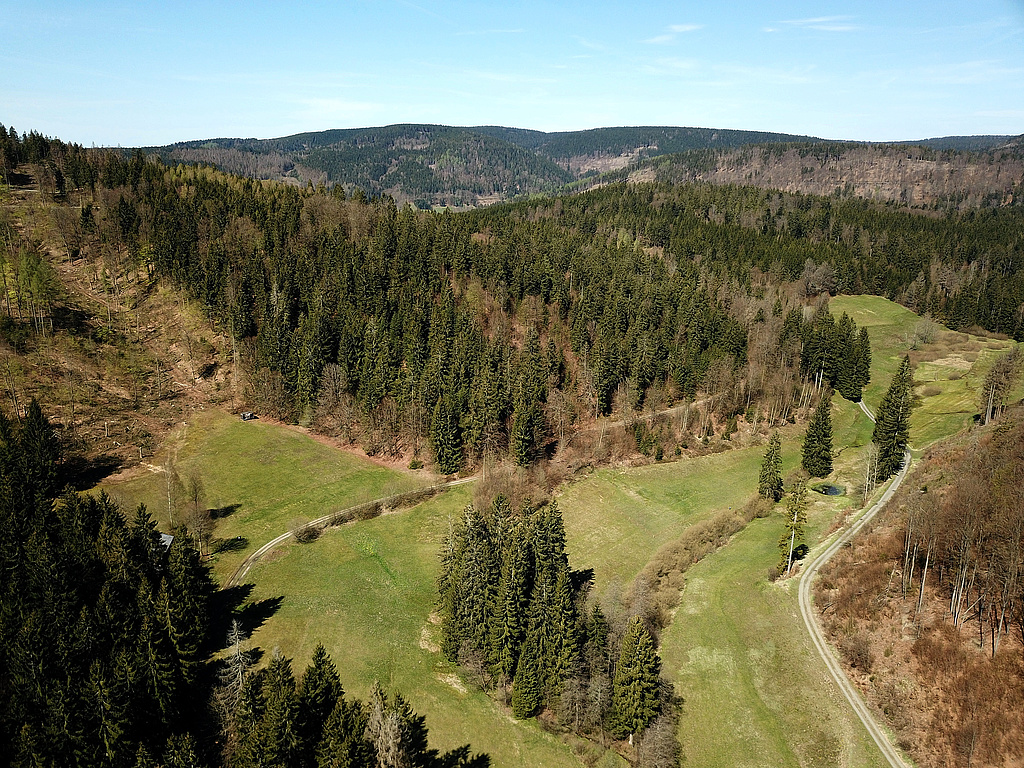 NSG 351, Blick von Südosten in den oberen Röthengrund bei Mengersgereuth-Hämmern im NSG „Röthengrund“ (Landkreis Sonneberg) mit artenreichen, gut gepflegten Berg- und Feuchtwiesen. Der Wald in der Bildmitte (Nordseite Großer Mühlberg) und am rechten Bildrand (am Kleinen Mittelberg) ist aus der forstlichen Nutzung genommen. Vorn links: die Jungdo-Hütte. (Foto: Holm Wenzel, 09.05.2021)