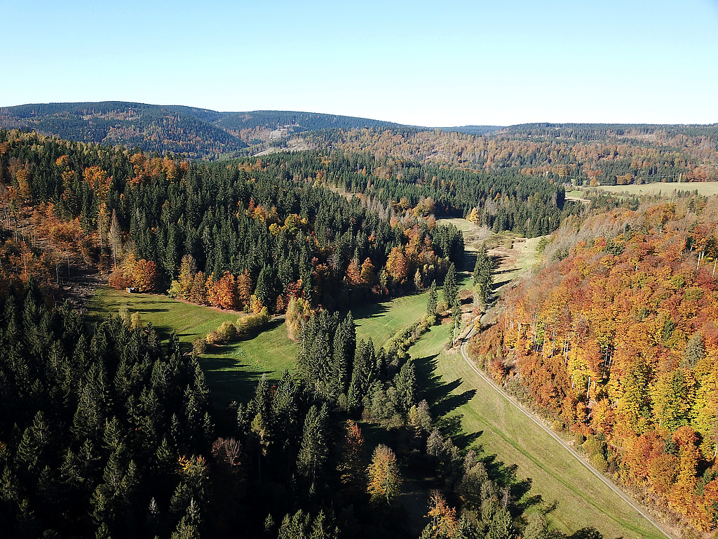 NSG 351, Blick von Südosten in den oberen Röthengrund bei Mengersgereuth-Hämmern im NSG „Röthengrund“ (Landkreis Sonneberg) mit artenreichen, gut gepflegten Berg- und Feuchtwiesen. Der Wald in der Bildmitte links (Nordseite Großer Mühlberg) und auf der rechten Bildseite (am Kleinen Mittelberg) ist aus der forstlichen Nutzung genommen. (Foto: Holm Wenzel, 24.10.2021)