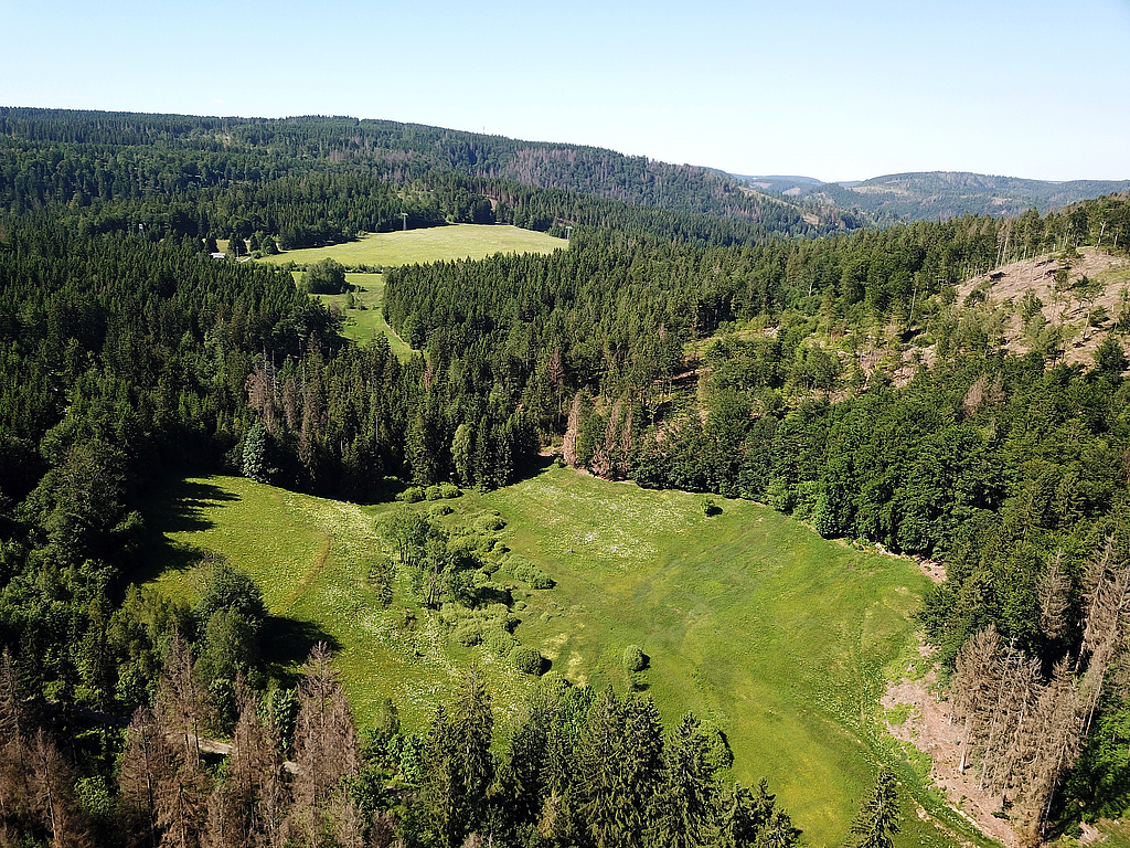 NSG 351, Blick von Südsüdost auf den obersten Röthengrund bei Mengersgereuth-Hämmern im NSG „Röthengrund“ (Landkreis Sonneberg) mit artenreichen, gut gepflegten Berg- und Feuchtwiesen, Borstgrasrasen, Übergangs- und Schwingrasenmooren und kalkreichen Niedermooren sowie feuchten Hochstaudenfluren. In der Bildmitte von oben nach unten verläuft die Röthen. Der Wald in der Bildmitte bis links (am Kleinen Mühlberg) und rechts im Bild (am Kleinen Mittelberg) ist aus der forstlichen Nutzung genommen. Wiese hinten: auf der Hämmerer Ebene bzw. am Rottenkämmlein, ganz hinten: der Fellberg bei Steinach. (Foto: Holm Wenzel, 14.06.2021)