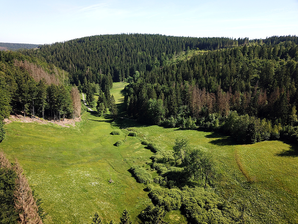 NSG 351, Blick von Nordnordwest in den oberen Röthengrund bei Mengersgereuth-Hämmern im NSG „Röthengrund“ (Landkreis Sonneberg) Richtung Jungdo-Hütte und Großer Mühlberg (hinten) mit artenreichen, gut gepflegten Berg- und Feuchtwiesen, Borstgrasrasen, Übergangs- und Schwingrasenmooren und kalkreichen Niedermooren sowie feuchten Hochstaudenfluren. In der Bildmitte von unten nach oben verläuft die Röthen. Der Wald auf der linken Bildseite (am Kleinen Mittelberg) und in der Bildmitte bis rechts (Nordseite Großer Mühlberg) ist aus der forstlichen Nutzung genommen. (Foto: Holm Wenzel, 14.06.2021)