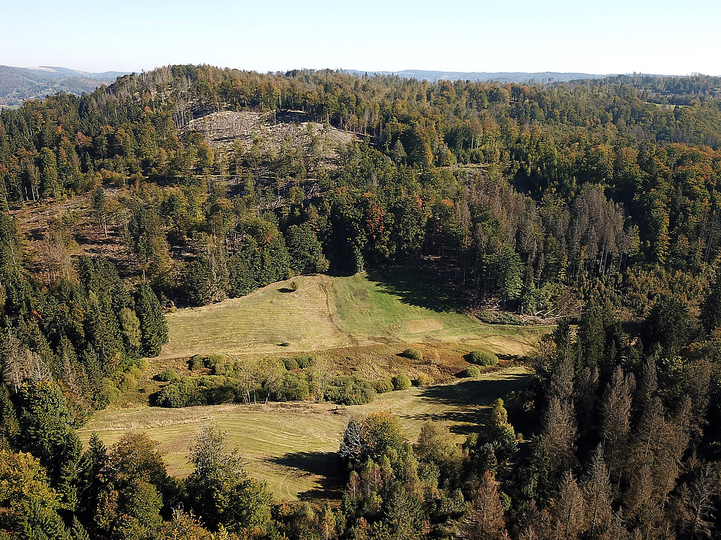 NSG 351, Blick von Westsüdwest auf Komplex aus artenreichen, vom „Jungdo-Hütte im Röthengrund e. V.“ gemähten Berg- und Feuchtwiesen, Borstgrasrasen, Übergangs- und Schwingrasenmooren und kalkreichen Niedermooren sowie feuchten Hochstaudenfluren an der Röthen zwischen Kleinem Mühlberg (vorn) und Kleinem Mittelberg (hinten) im oberen Röthengrund bei Mengersgereuth-Hämmern im NSG „Röthengrund“ (Landkreis Sonneberg). Der Wald um den Wiesenkomplex ist aus der forstlichen Nutzung genommen. (Foto: Holm Wenzel, 10.10.2021)