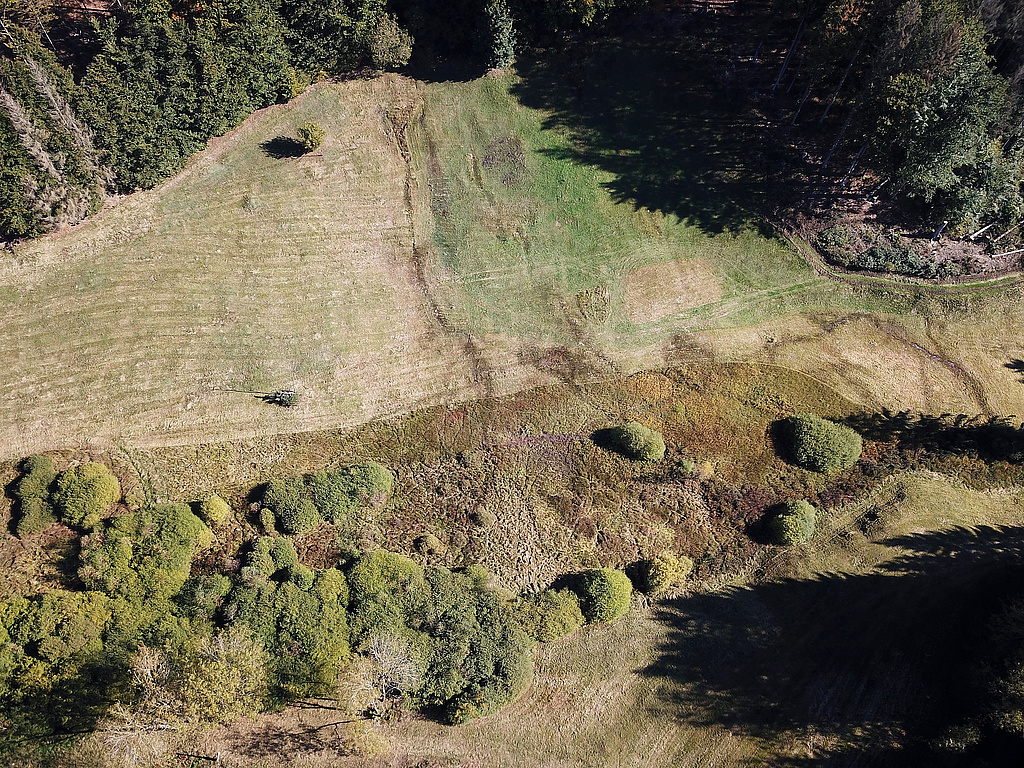 NSG 351, Blick von Westsüdwest auf Komplex aus artenreichen, vom „Jungdo-Hütte im Röthengrund e. V.“ gemähten Berg- und Feuchtwiesen, Borstgrasrasen, Übergangs- und Schwingrasenmooren und kalkreichen Niedermooren sowie feuchten Hochstaudenfluren an der Röthen am Unterhang des Kleinen Mittelbergs (hinten) im oberen Röthengrund bei Mengersgereuth-Hämmern im NSG „Röthengrund“ (Landkreis Sonneberg). (Foto: Holm Wenzel, 10.10.2021)