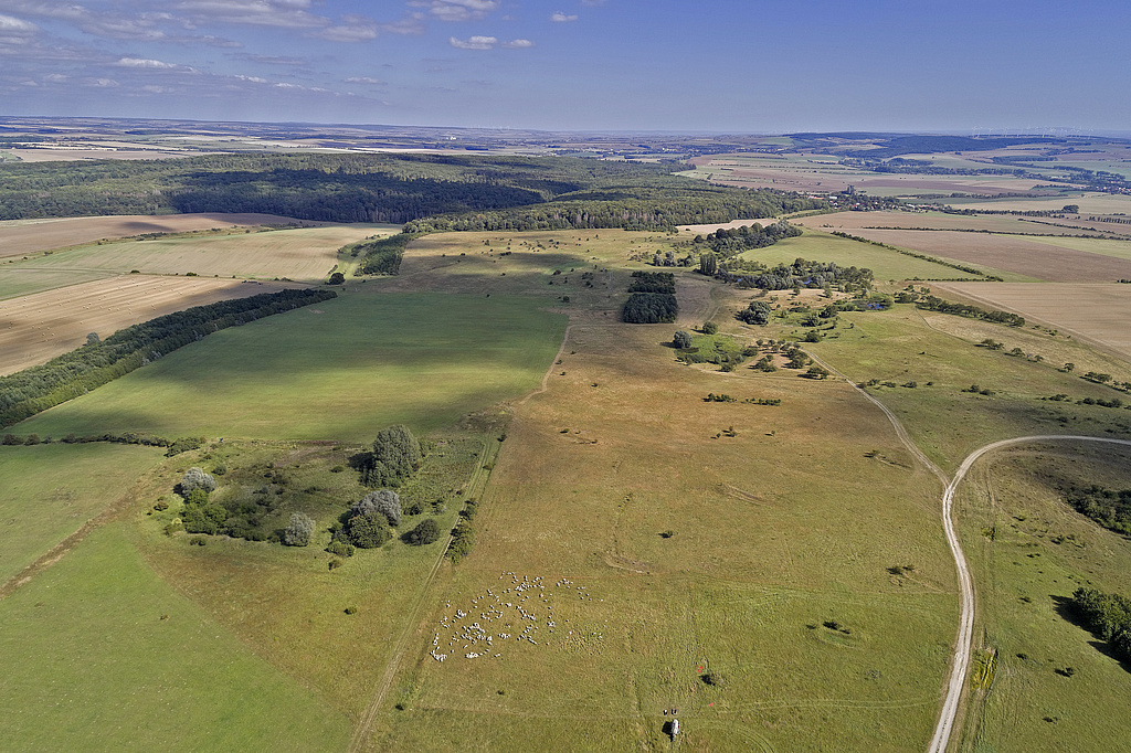 NSG 367, Blick von Westen auf den zentralen nördlichen und den östlichen Teil des NSG „Volkenrodaer Teiche – Forstberg“ (Unstrut-Hainich-Kreis) mit Teil des ehemaligen Standortübungsplatzes Mühlhausen (jetzt Nationales Naturerbe), Gras-Teich und Waldgebiet "Tiergarten", dahinter (nicht im NSG): der Volkenrodaer Wald. (Foto: V. Lautenbach/ThINK GmbH/Archiv TLUBN, 09.09.2020)