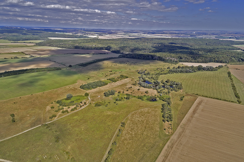 NSG 367, Blick von Südwesten auf den zentralen nördlichen und den östlichen Teil des NSG „Volkenrodaer Teiche – Forstberg“ (Unstrut-Hainich-Kreis) mit Teil des ehemaligen Standortübungsplatzes Mühlhausen (jetzt Nationales Naturerbe), Gras-Teich und Waldgebiet "Tiergarten", dahinter (nicht im NSG): der Volkenrodaer Wald. (Foto: V. Lautenbach/ThINK GmbH/Archiv TLUBN, 09.09.2020)