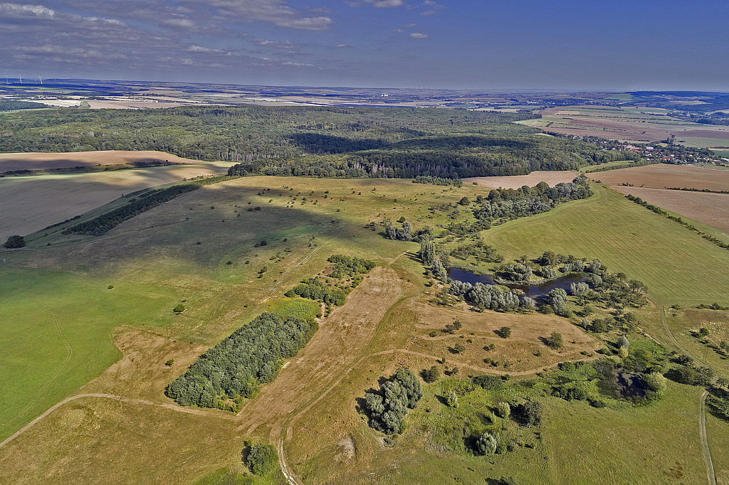 NSG 367, Blick von Nordwesten auf den zentralen nördlichen und den östlichen Teil des NSG „Volkenrodaer Teiche – Forstberg“ (Unstrut-Hainich-Kreis) mit Teil des ehemaligen Standortübungsplatzes Mühlhausen (jetzt Nationales Naturerbe), Gras-Teich und Waldgebiet "Tiergarten", dahinter (nicht im NSG): der Volkenrodaer Wald. Am Bildrand rechts oben: Volkenroda mit Kloster. (Foto: V. Lautenbach/ThINK GmbH/Archiv TLUBN, 09.09.2020)