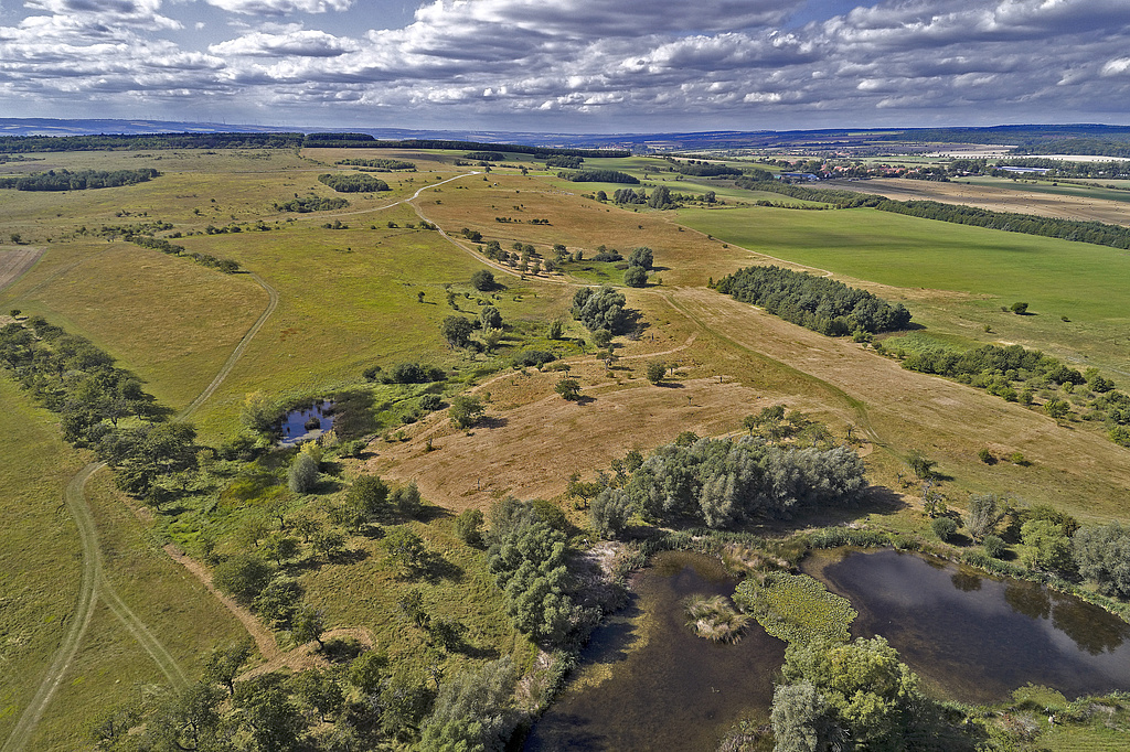 NSG 367, Blick von Südosten auf den zentralen nördlichen und nordwestlichen Teil des NSG „Volkenrodaer Teiche – Forstberg“ (Unstrut-Hainich-Kreis) mit Teil des ehemaligen Standortübungsplatzes Mühlhausen (jetzt Nationales Naturerbe) und dem Gras-Teich (vorn rechts). (Foto: V. Lautenbach/ThINK GmbH/Archiv TLUBN, 09.09.2020)
