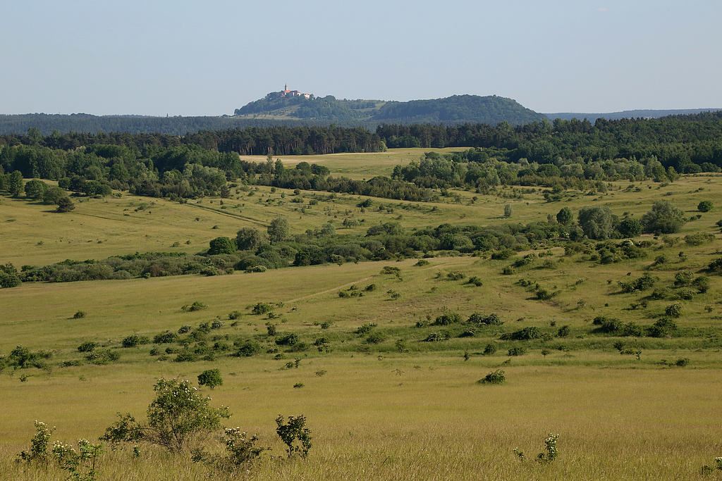 NSG 371, Blick vom Südhang des Lichtersberges nach Südsüdosten über den ehemaligen Schießplatz Rothenstein und das Löschtal mit großflächigen, z. T. orchideenreichen Kalk-Halbtrockenrasen im NSG „Spitzenberg – Schießplatz Rothenstein – Borntal“ (hier: Anteil im Saale-Holzland-Kreis). Im Hintergrund: Leuchtenburg und Pfaffenberg bei Kahla. (Foto: Holm Wenzel, 05.06.2015)