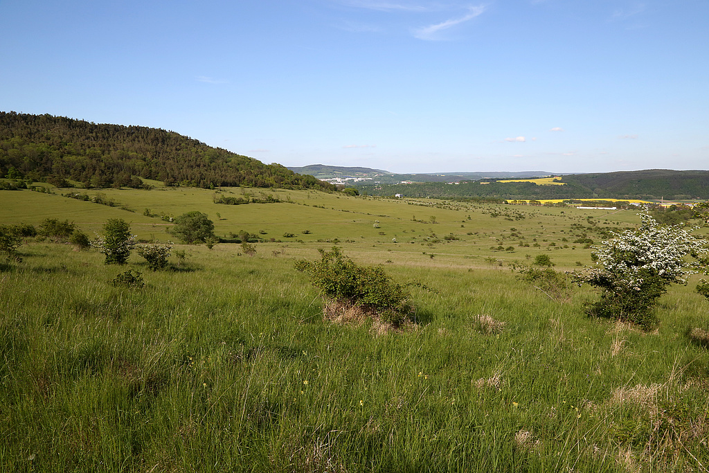 NSG 371, Blick von der Ostseite des Kux- oder Kamelberges nach Nordosten über den ehemaligen Schießplatz Rothenstein mit großflächigen, z. T. orchideenreichen Kalk-Halbtrockenrasen auf Südostseite des Lichtersberges (alles im NSG „Spitzenberg – Schießplatz Rothenstein – Borntal“, Saale-Holzland-Kreis, kreisfreie Stadt Jena). Im Hintergrund: Jena-Neulobeda. (Foto: Holm Wenzel, 14.05.2015)