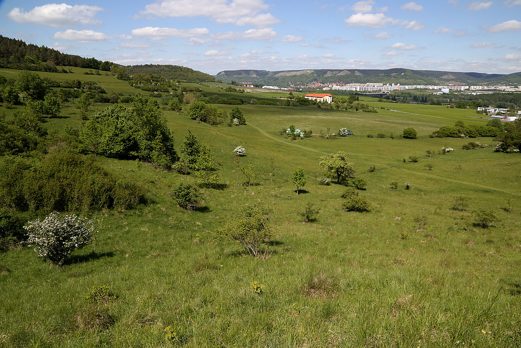 NSG 371, Blick von der Ostseite des Lichtersberges nach Nordosten auf den nordöstlichsten Teil des NSG „Spitzenberg – Schießplatz Rothenstein – Borntal“ (Saale-Holzland-Kreis, kreisfreie Stadt Jena). Im Hintergrund: Jena-Lobeda und die Muschelkalk-Steilhänge im NSG „Kernberge und Wöllmisse bei Jena“ (Nr. 451). (Foto: Holm Wenzel, 14.05.2015)