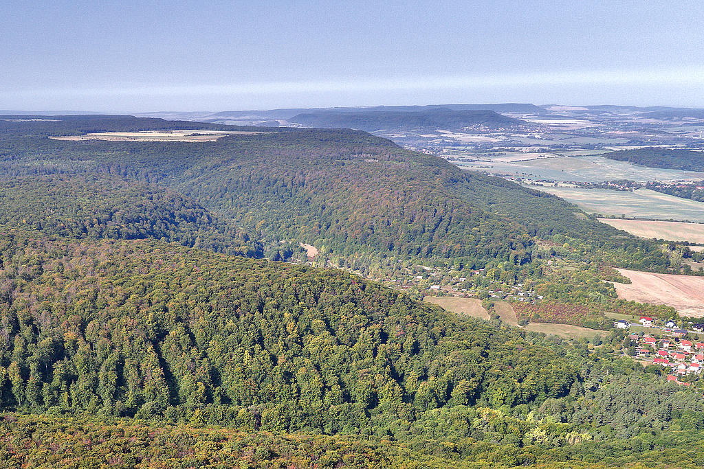NSG 378, Blick von Osten auf den Kains, dahinter über das Teichtal auf den Gatterberg sowie den weiteren nördlichen Teil des NSG „Westliche Hainleite“ (Landkreis Nordhausen). Vorn rechts: Hainrode, Bildmitte links: der Steckenberg, Bildmitte hinten: die Bleicheröder Berge, dahinter: das Ohmgebirge. (Foto: V. Lautenbach/ThINK GmbH 22.09.2020, Archiv TLUBN)