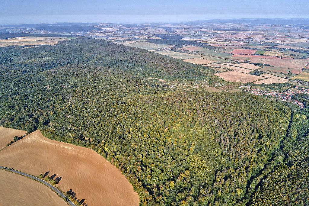 NSG 378, Blick von Südosten auf den Kains und dahinter den Steckenberg, nach dem Teichtal auf den Gatterberg und den weiteren nördlichen Teil des NSG „Westliche Hainleite“ (Landkreis Nordhausen). (Foto: V. Lautenbach/ThINK GmbH 22.09.2020, Archiv TLUBN)