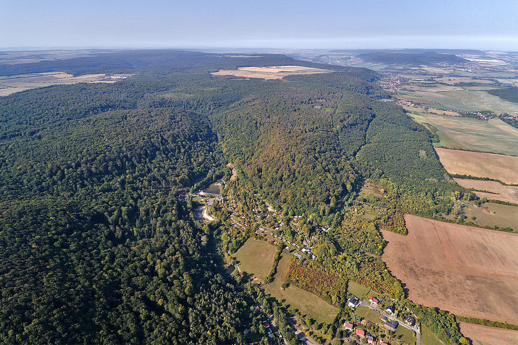 NSG 378, Blick von Nordosten in das Teichtal bei Hainrode, umgeben von den zum NSG gehörenden Kains (vorn links), Steckenberg (Bildmitte links) und Gatterberg (Bildmitte rechts), sowie auf den zentralen und westlichen Teil des NSG „Westliche Hainleite“ (Landkreis Nordhausen). (Foto: V. Lautenbach/ThINK GmbH 22.09.2020, Archiv TLUBN)