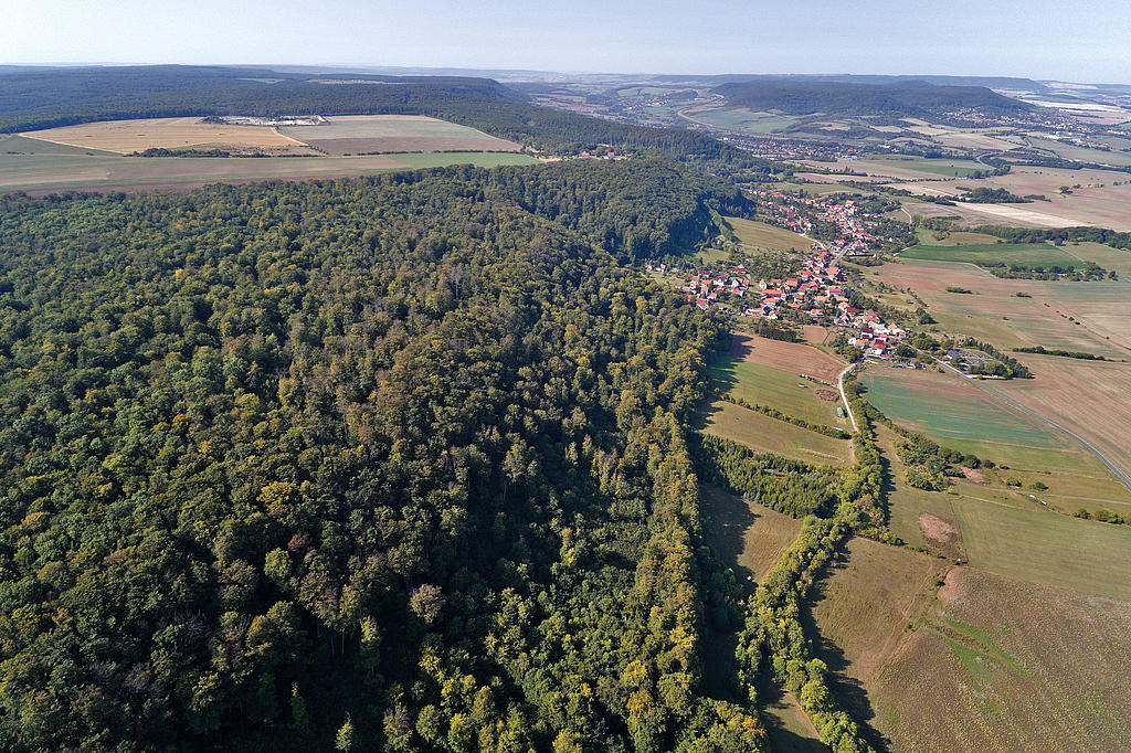 NSG 378, Blick von Ostnordost Richtung Amt Lohra mit der Burg Lohra und auf den nordwestlichen Teil des NSG „Westliche Hainleite“ (Landkreis Nordhausen). Vorn links: „Der Berg“, rechts am Hangfuß: die Orte Großwenden und Friedrichslohra (Gemeinde Großlohra), hinten rechts: die Bleicheröder Berge und dahinter das Ohmgebirge. (Foto: V. Lautenbach/ThINK GmbH 22.09.2020, Archiv TLUBN)