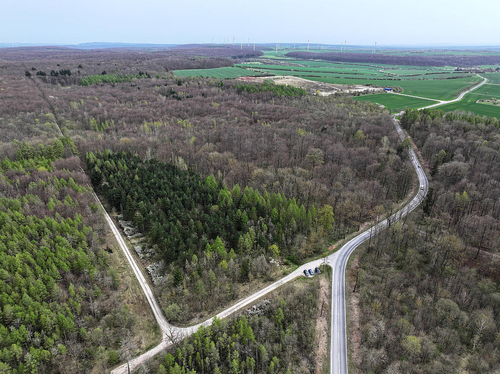 NSG 378, Blick von Nordwesten auf den Süden des NSG „Westliche Hainleite“ (Landkreis Nordhausen) an der Grenze zum Kyffhäuserkreis nordwestlich und nördlich des Berndtner Kalksteinbruches bei Kleinberndten. (Foto: Holm Wenzel, 07.04.2024)