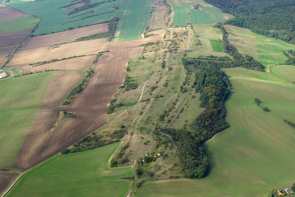 NSG 387, Blick von Südosten auf den „kahlen“ Südwesten (westlich von Harras/Gemeinde Oberheldrungen) der nordwestlichen Teilfläche des NSG „Kahle Schmücke bei Heldrungen“ (Kyffhäuserkreis). (Foto: Kerstin Winter/Archiv TMUEN, 05.10.2009)